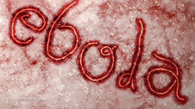 Ebola-Virus-Word-Shapes
