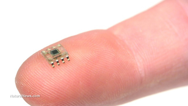 Microscopic-Tiny-Computer-Microchip