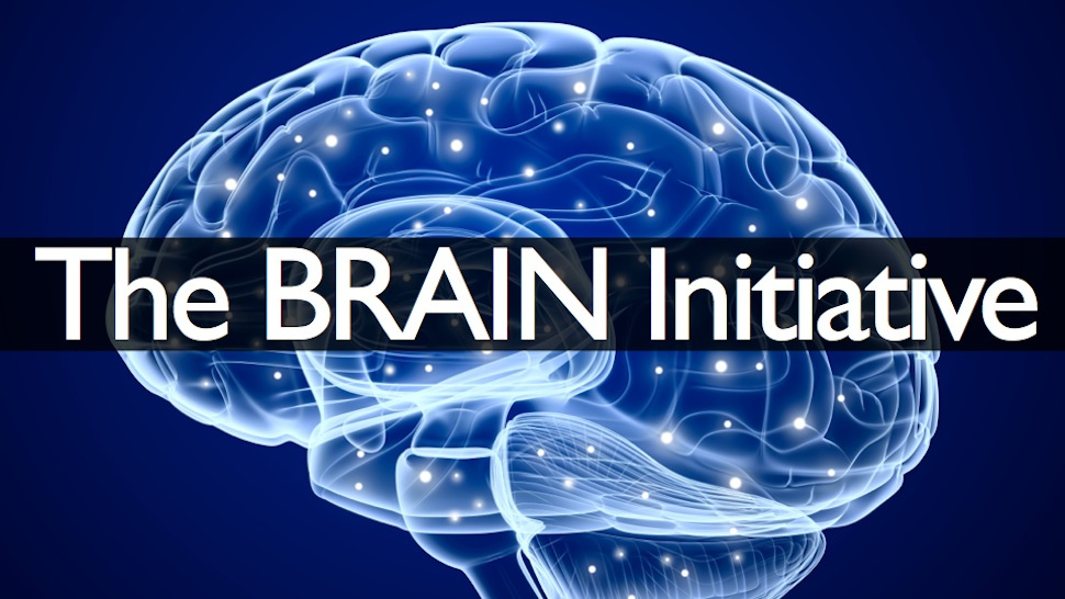 brain initiative
