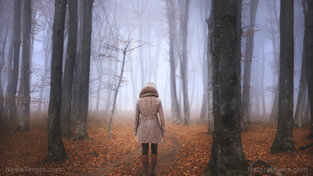 Woman Walking Foggy Forest During Autumn